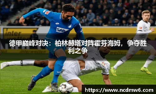 德甲巅峰对决：柏林赫塔对阵霍芬海姆，争夺胜利之争