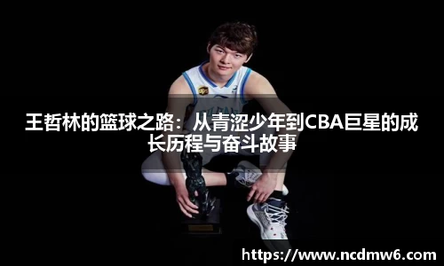 王哲林的篮球之路：从青涩少年到CBA巨星的成长历程与奋斗故事